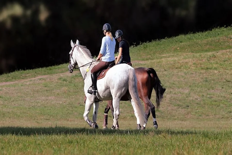 Private vs. Group Trail Rides Which One Actually Fits Your Style